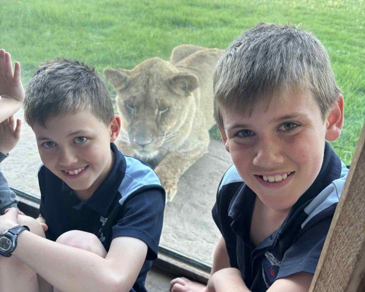 Photo of two male students with a lioness in the background behind a glass wall.